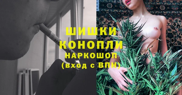 бутират Богородицк
