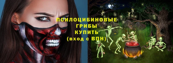 бутират Богородицк